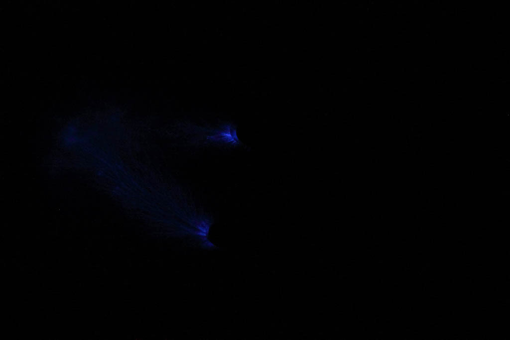 DPP_0169