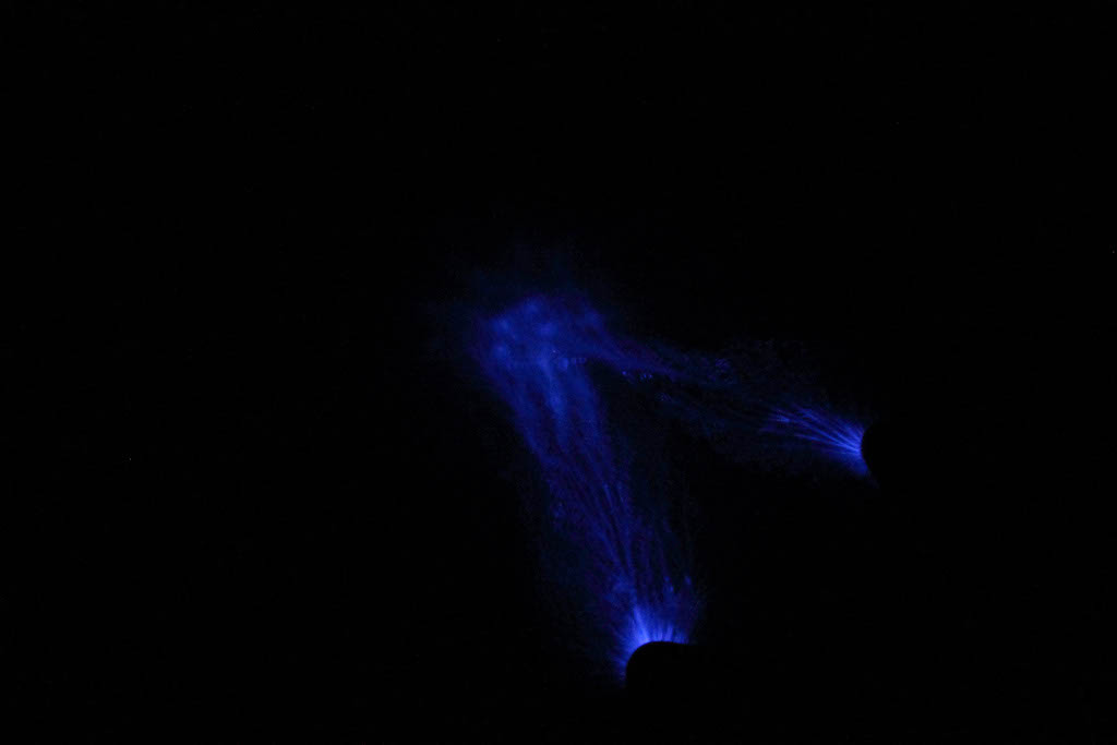 DPP_0208