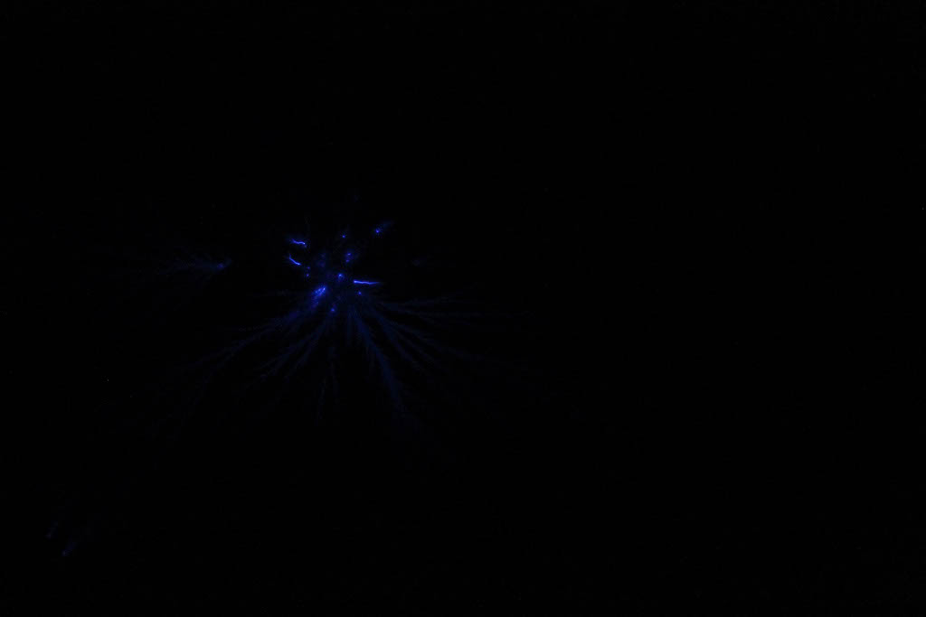 DPP_0029