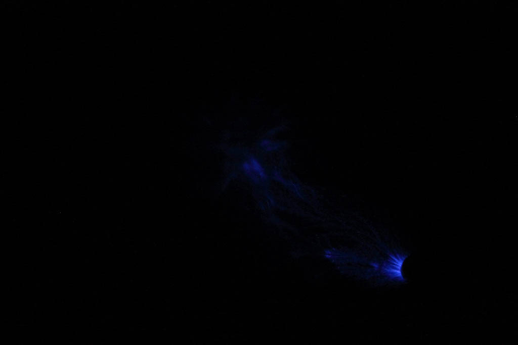 DPP_0185