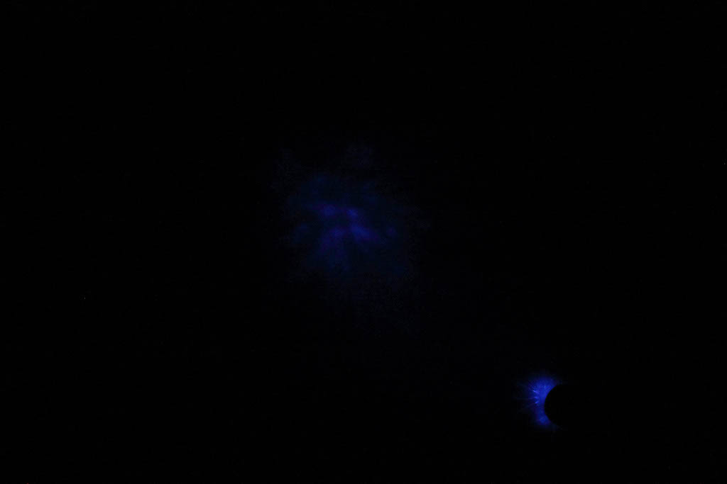 DPP_0184