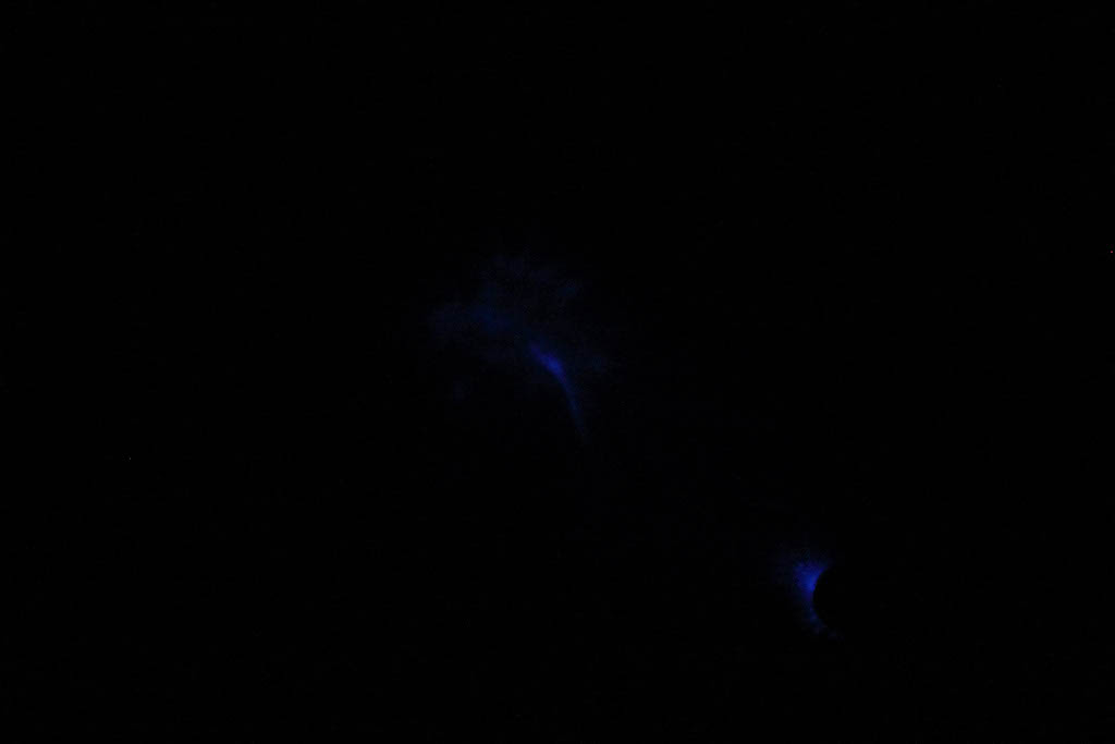 DPP_0190