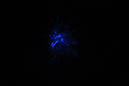 DPP_0080