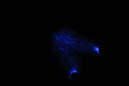 DPP_0209