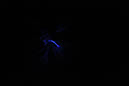 DPP_0026