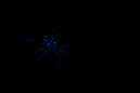 DPP_0029