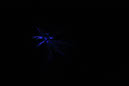 DPP_0025