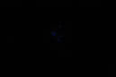 DPP_0109