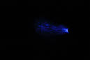 DPP_0125