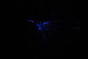 DPP_0078