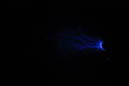 DPP_0148