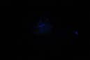 DPP_0172