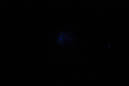 DPP_0164