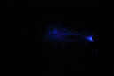 DPP_0156
