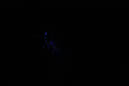 DPP_0027