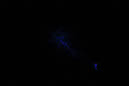 DPP_0187