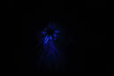 DPP_0070