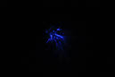 DPP_0077