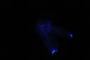 DPP_0213