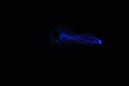 DPP_0128
