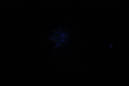 DPP_0170