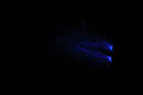 DPP_0147