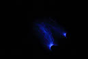DPP_0202
