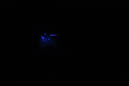 DPP_0028