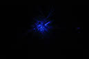 DPP_0079