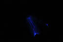 DPP_0205