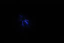 DPP_0031