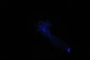DPP_0194