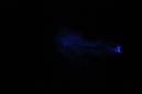 DPP_0163