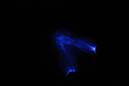DPP_0211