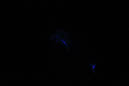 DPP_0190