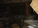 DSC01377