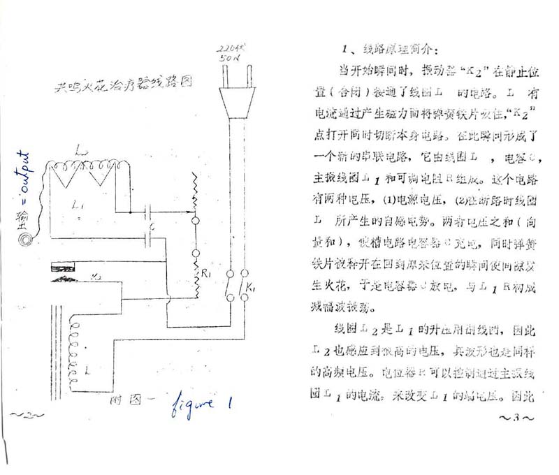 ChineseVioletRay0002