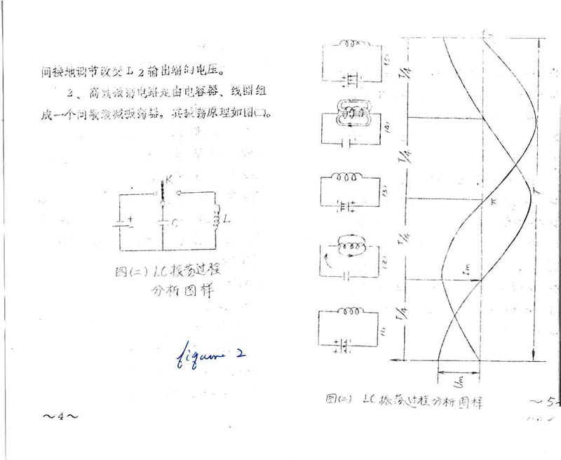 ChineseVioletRay0003